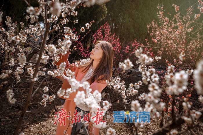 万株梅花次第开，红叶谷第18届梅花节诗意启幕