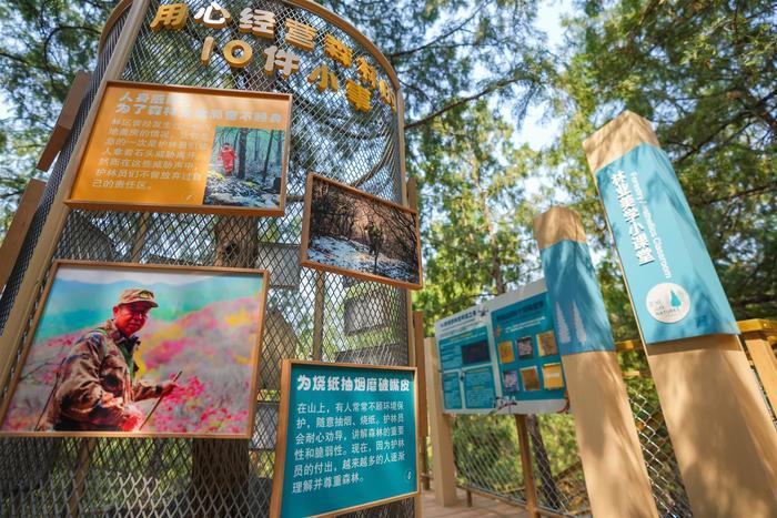 今年济南将建设30处自然教育观察径或自然教育示范基地