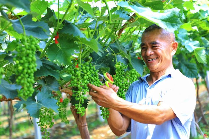 新增2家！章丘科技小院再扩容