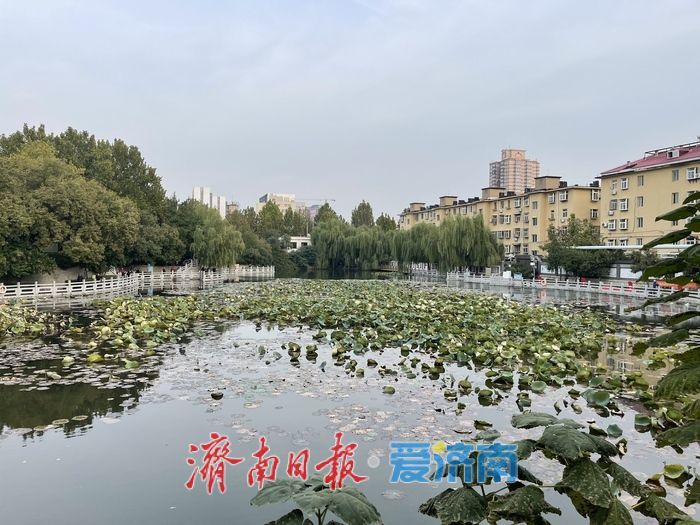 一年四季 泉在济南丨秋日无影潭：潭水映秋光，市井藏诗意