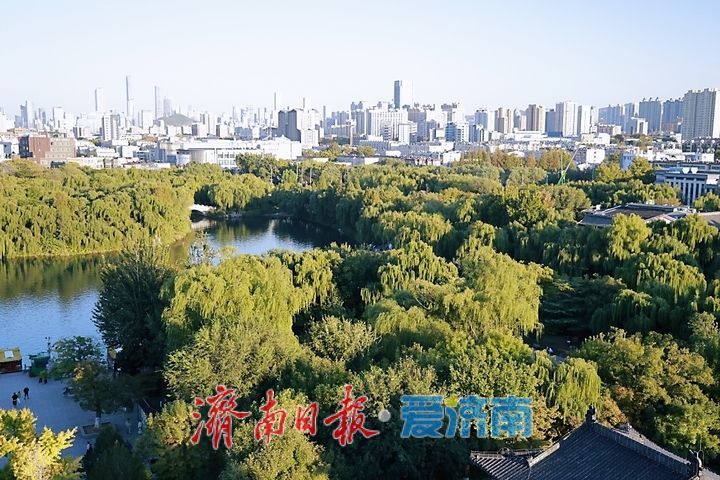 一年四季 泉在济南丨明湖藏翠色 晚秋入画卷