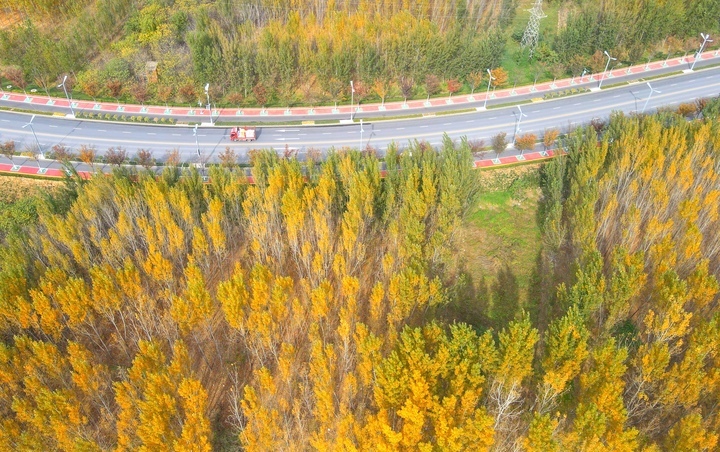 济南黄河生态廊道深秋时节风景如画