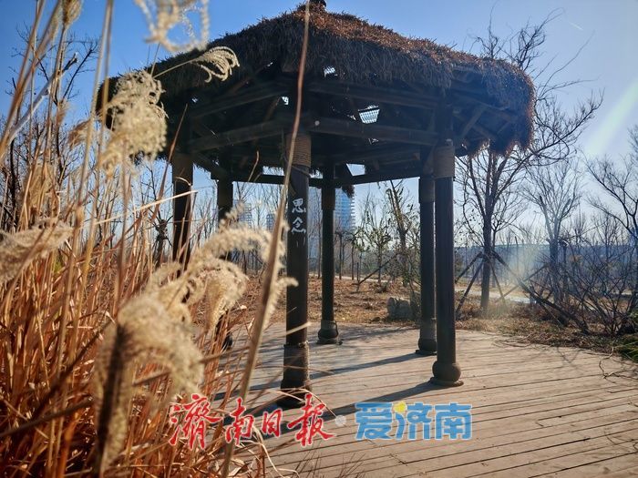 中央森林公园：工业遗址转型中的生态复苏与城市记忆新空间