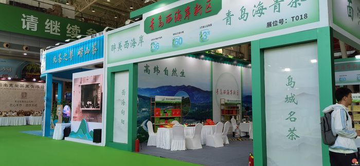 700家品牌茶企齐聚泉城 2024济南国际茶博会开幕