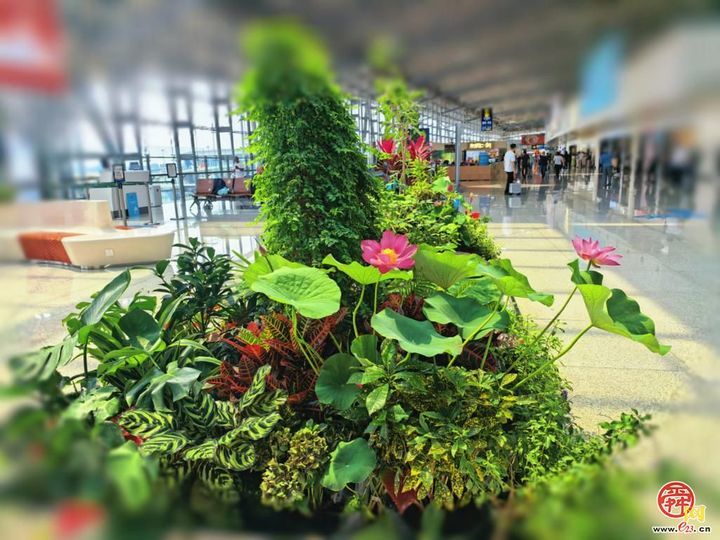 “泉”程守护 济南机场，让每段旅途都被温柔以待