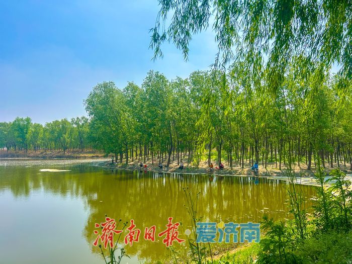 一年四季 泉在济南丨济南睦里闸春日生态画卷徐徐舒展