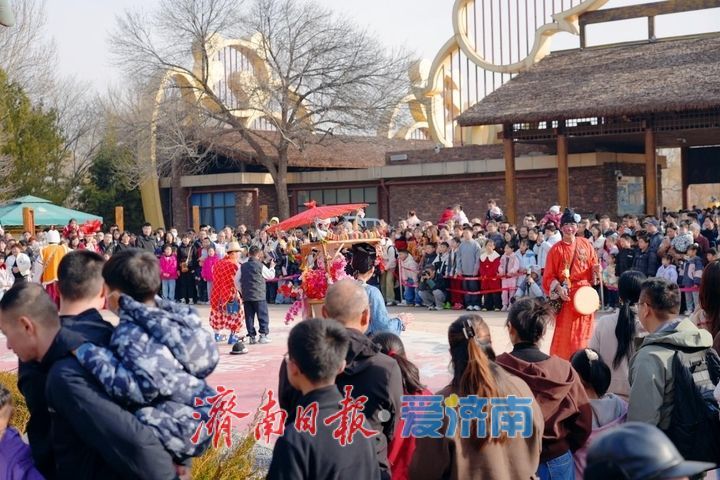 新春走基层｜客流高峰遇暖心坚守 济南野生动物世界初五迎春服务“不打折”