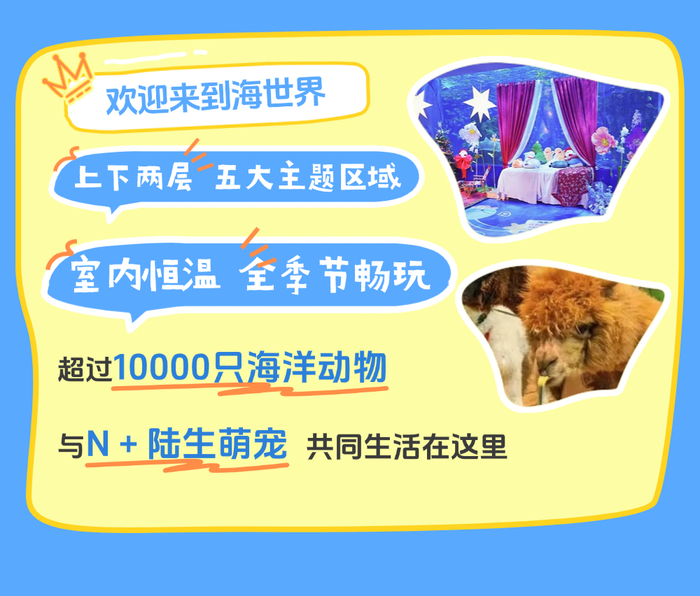 济南“胖人鱼”登上央视《开讲啦》，与撒贝宁互动