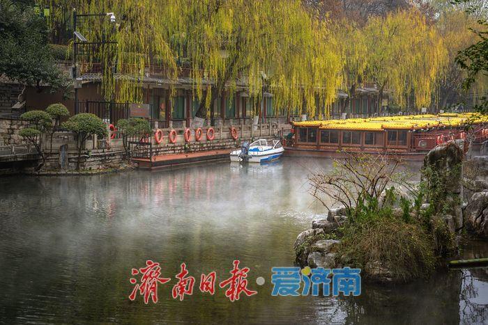 一年四季 泉在济南丨济南黑虎泉冬日云雾润蒸：清泉伴柳，仙境入画