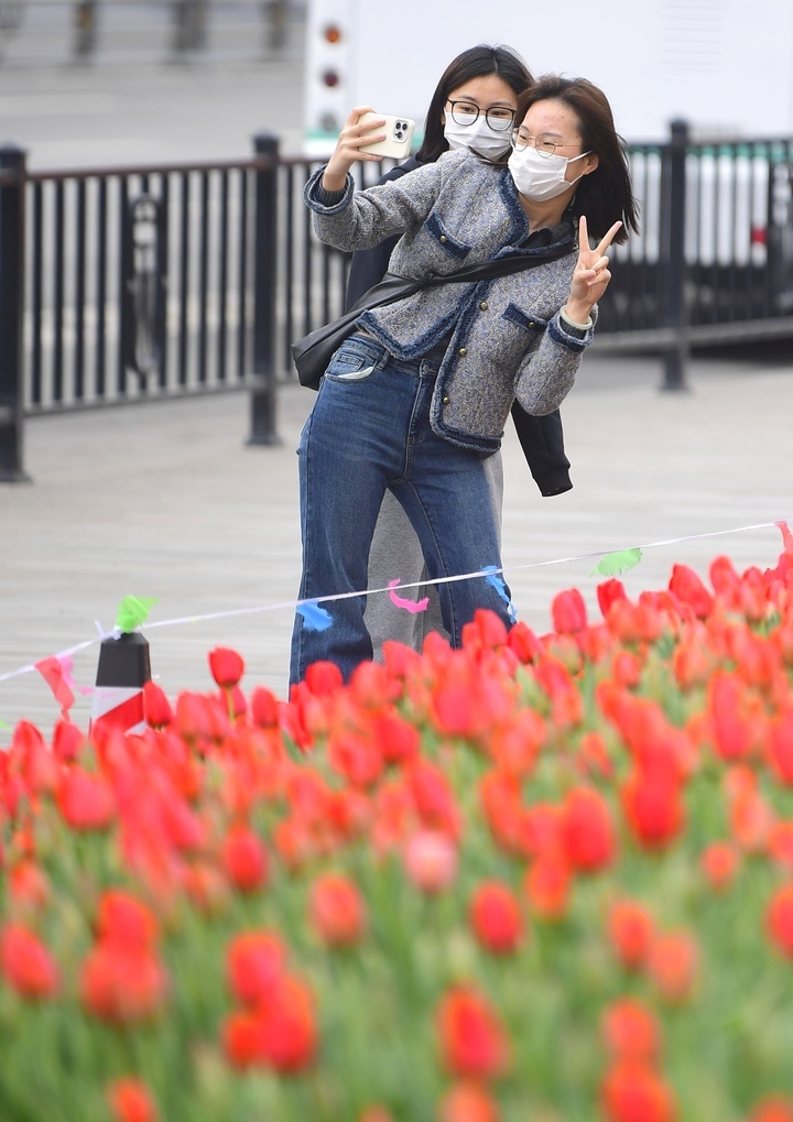 春花烂漫时，“郁”见你真好