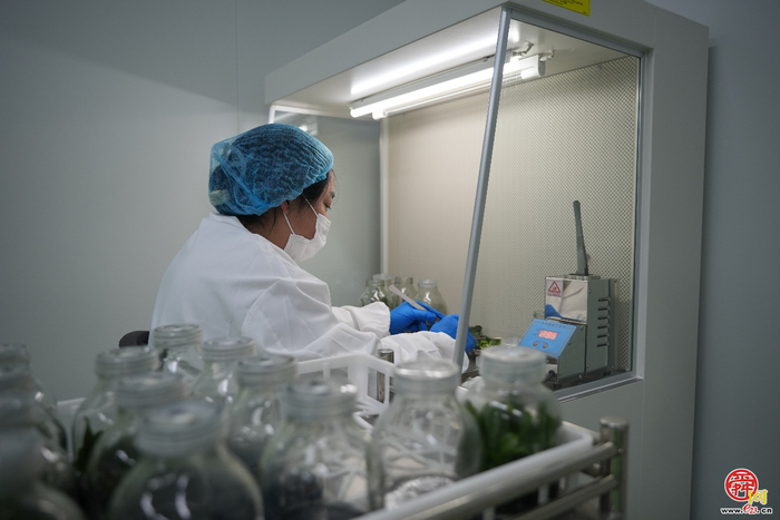 济南易通城建集团吹响“项目赋能年”奋进号角 全力冲刺2026“开门红”