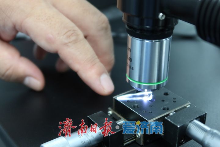 趵眼｜四度入选“活力之城”，济南靠的是“养”