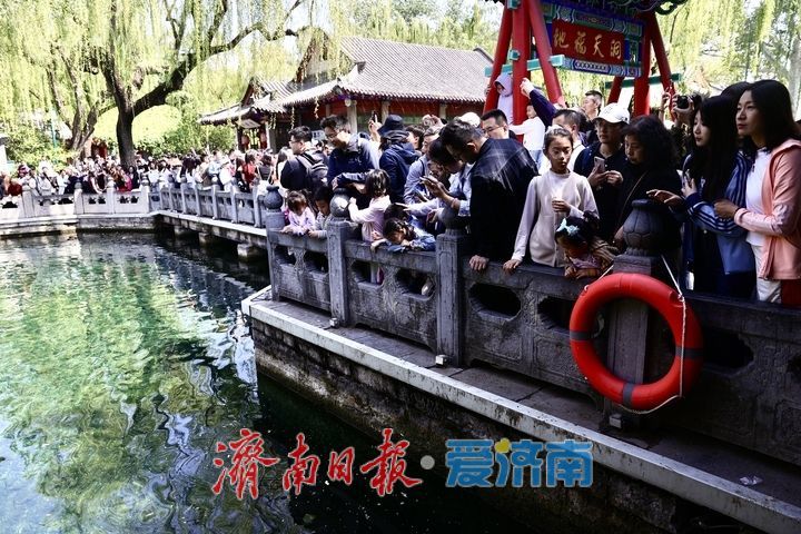 雨润泉涌引客来！趵突泉畔游人如织
