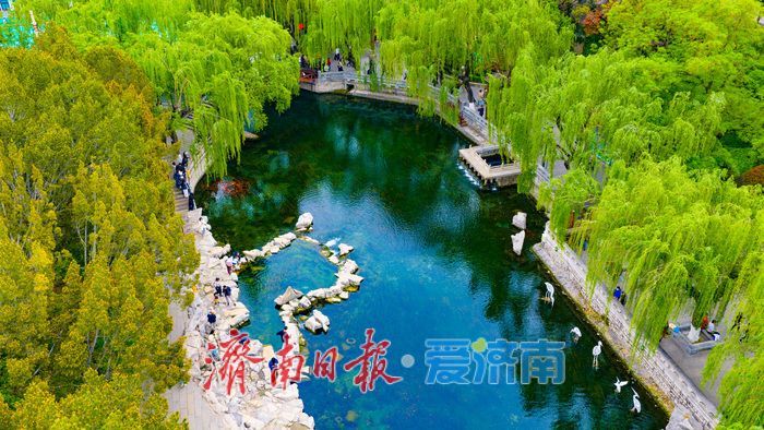 一年四季 泉在济南丨一泉一市一春日！黑虎泉畔水墨韵 花朝荟里烟火情