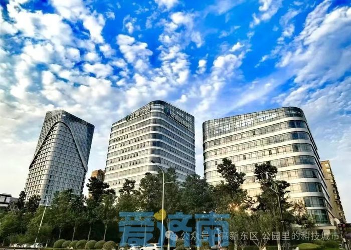人才、项目、资本汇聚，济南高新东区为何备受期待？