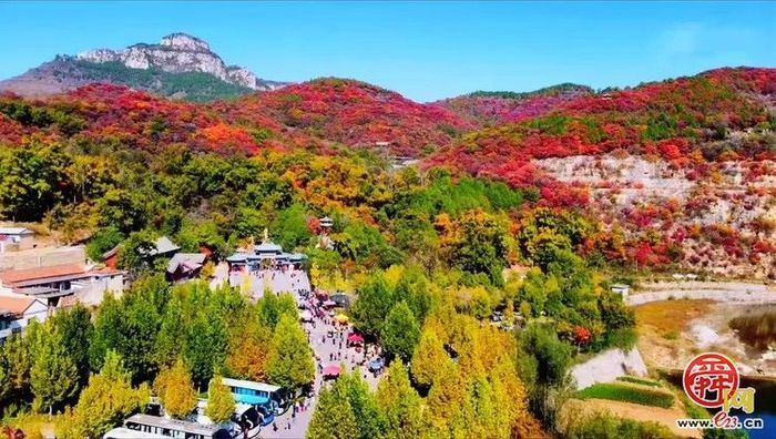 垛庄镇：秋意浓文旅热，“漫山红叶”引领赏秋新风尚