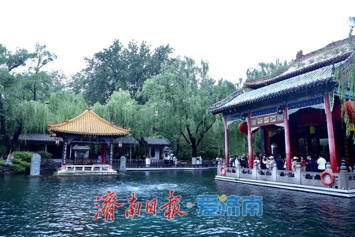 一年四季 泉在济南｜烟雨入泉城 “泉水游”热度不减