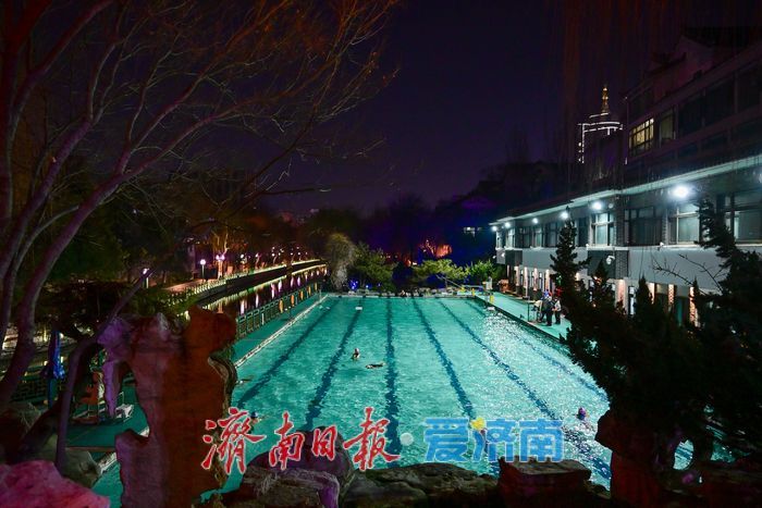 一年四季 泉在济南丨泉畔夜泳 绘就泉城冬日别样景