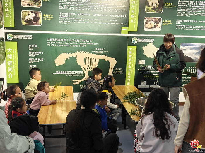 音乐派对、萌宠互动……济南文旅集团多元活动开启跨年狂欢盛宴