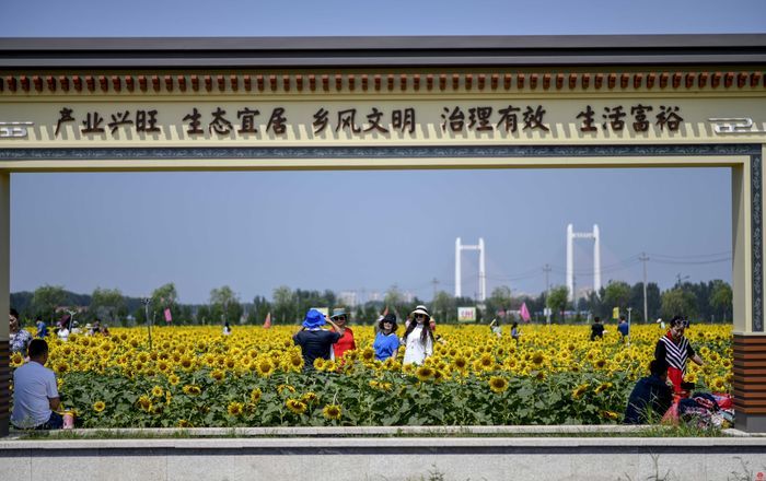 槐荫：纵横通衢畅达八方