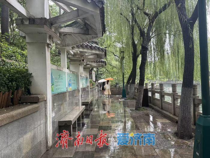 一年四季 泉在济南丨“不是江南胜似江南”，济南护城河畔雨中尽显诗意