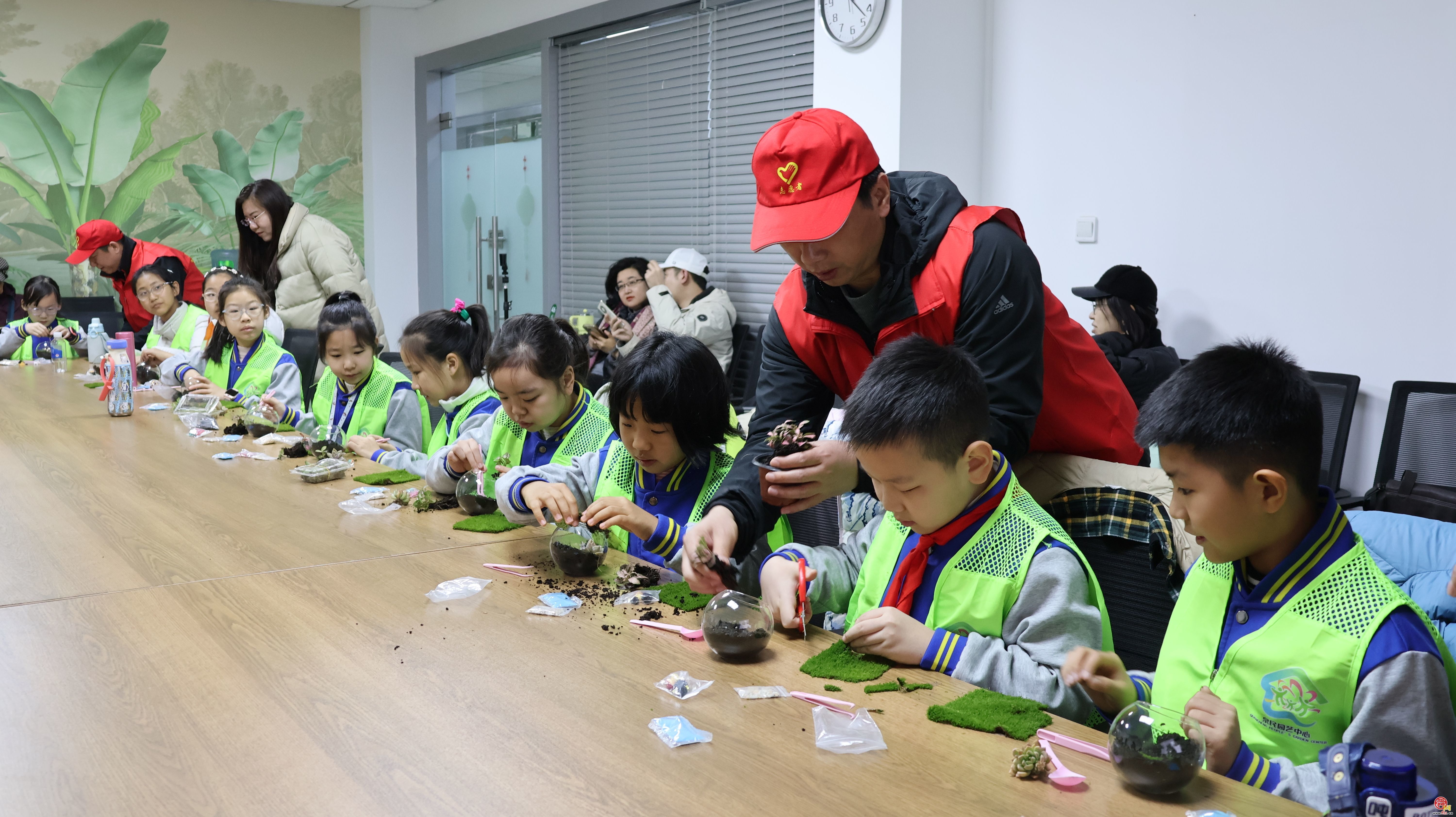 指尖上的绿意！济南园·林惠民行带你DIY专属“迷你森林”