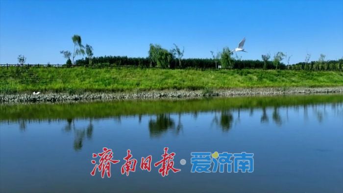 从“灰色地带”到生态廊道，家门口的河流淌出幸福感