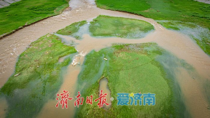 一年四季 泉在济南丨济南卧虎山水库南岸草坪成生态新名片