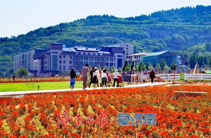 镜头定格乡风文明 光影见证振兴蝶变 “文明乡村入镜来”主题摄影活动在芦南村启幕