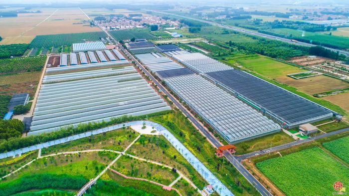 丰收的章丘，醉美！