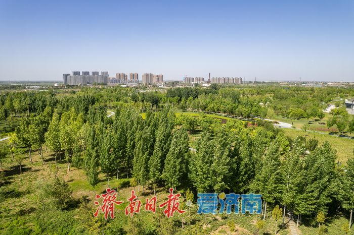 昔日老厂区变身城市绿肺，济钢中央森林公园春意正浓