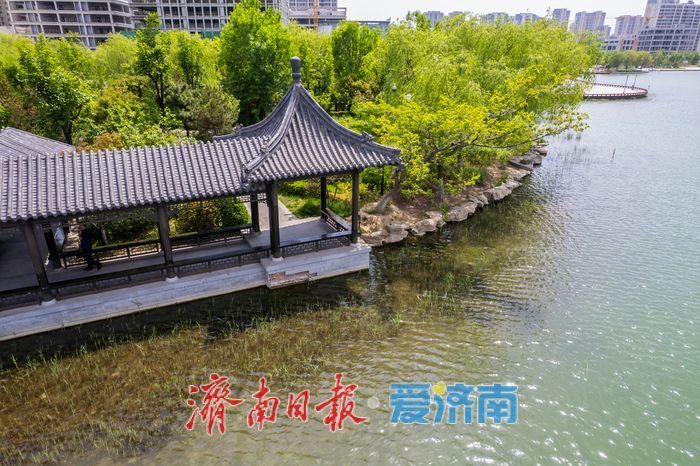 一年四季 泉在济南丨暮春景致如画，云锦湖尽显生态之美