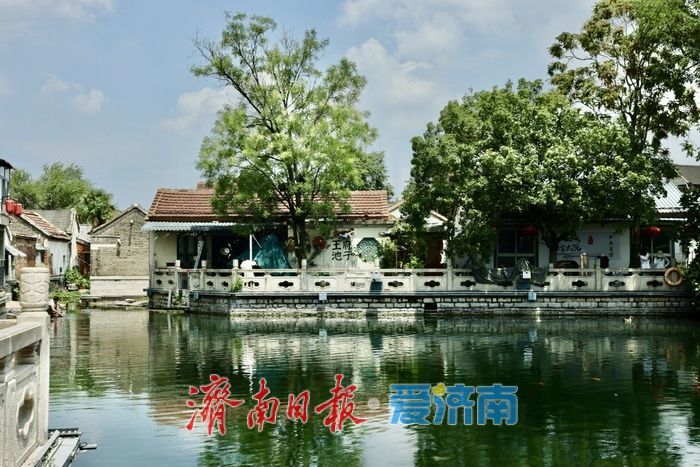 一年四季 泉在济南丨天光云影入泉来 王府池子展神韵