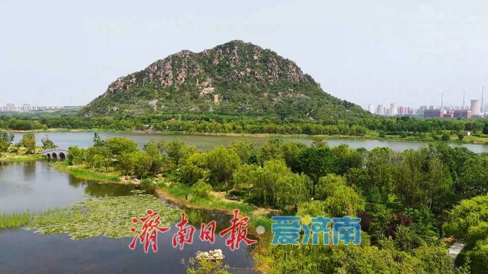 一年四季 泉在济南丨碧波映翠夏意浓！华山历史文化湿地公园“绿境”醉游人