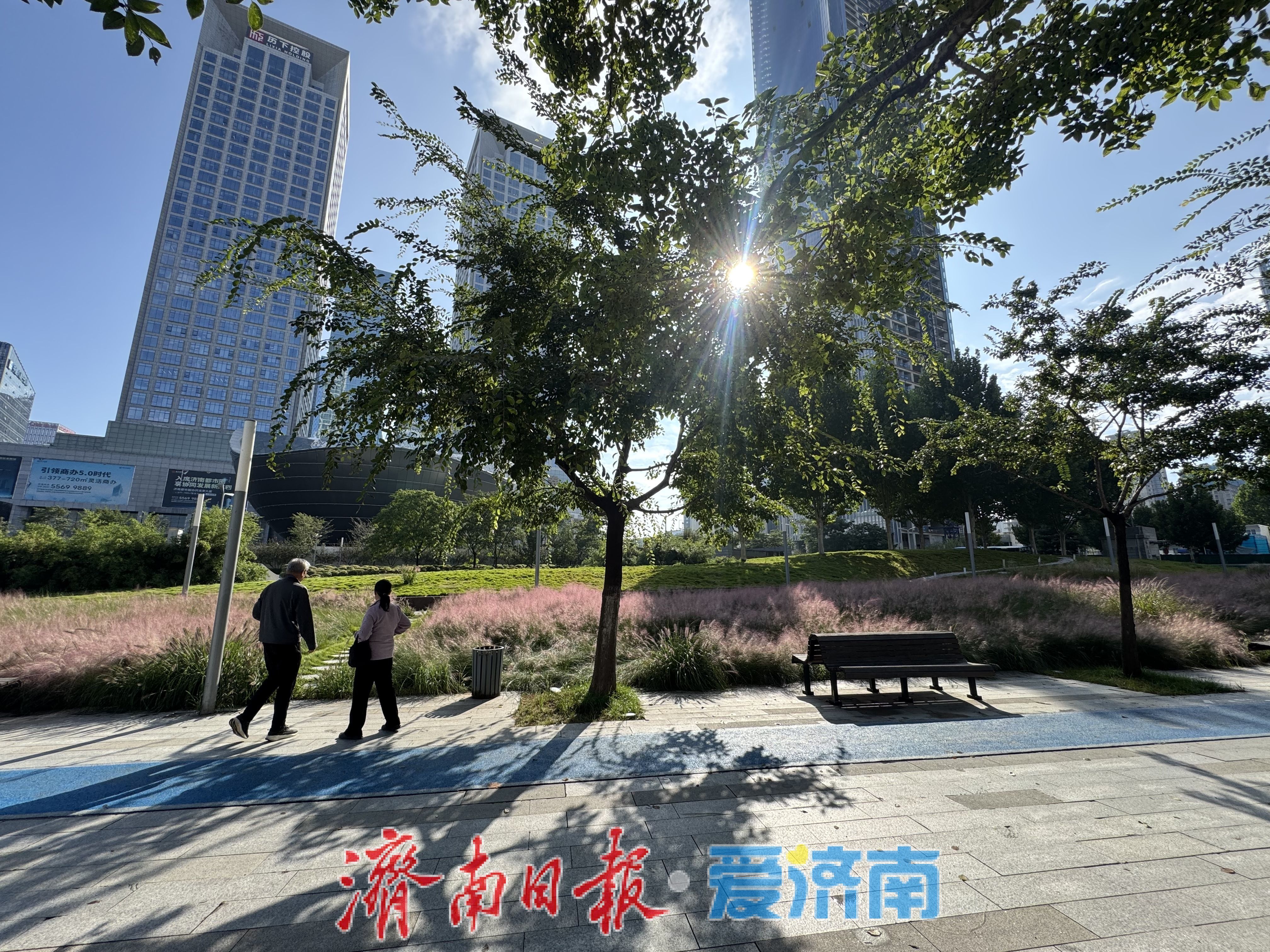 一年四季 泉在济南丨济南泉城人才公园：粉黛盛放绘就秋日浪漫画卷