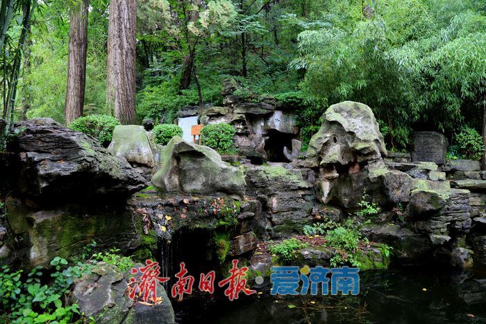 开学打卡好去处！红叶谷推出2026级高校新生专属游园优惠