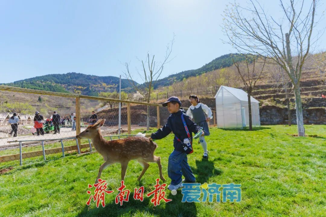 济南跻身全国五一火车票、机票新势力目的地 TOP10