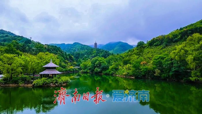 一年四季 泉在济南丨济南初夏秘境！雨后红叶谷云海翻涌，美到窒息
