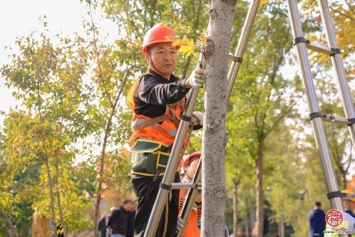 2025年“技耀泉城”海右技能人才大赛园林植物修剪职业技能竞赛成功举办