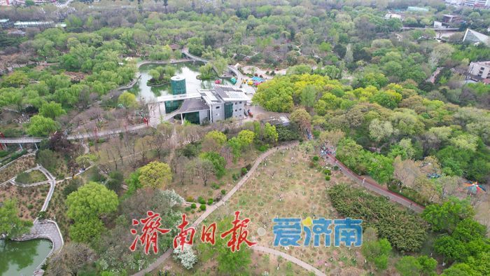 泉城公园满目翠绿入画来