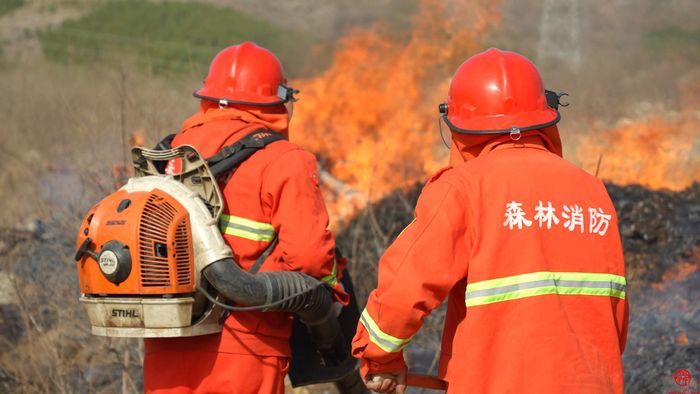 济南市森防指办公室组织开展森林防灭火演练