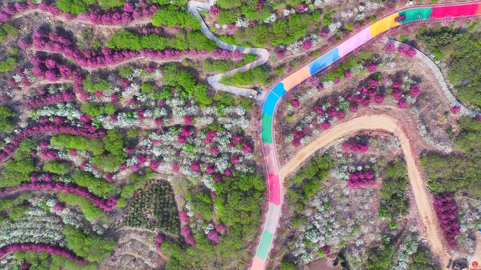 如诗如画 海棠依旧