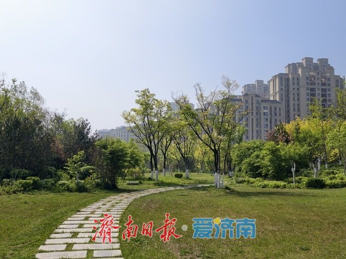 绿意满城风正劲，泉城春深景如画