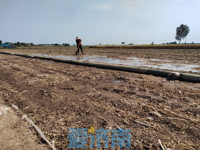 济南部分地区开启应急抗旱引黄供水模式，日均供水100万余立方米