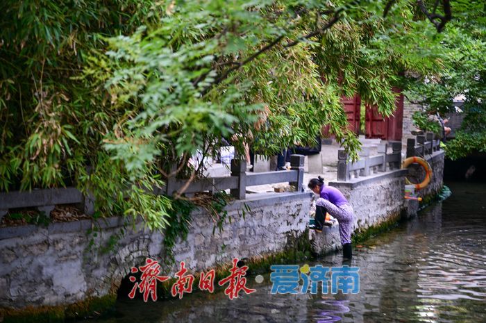 一年四季 泉在济南 