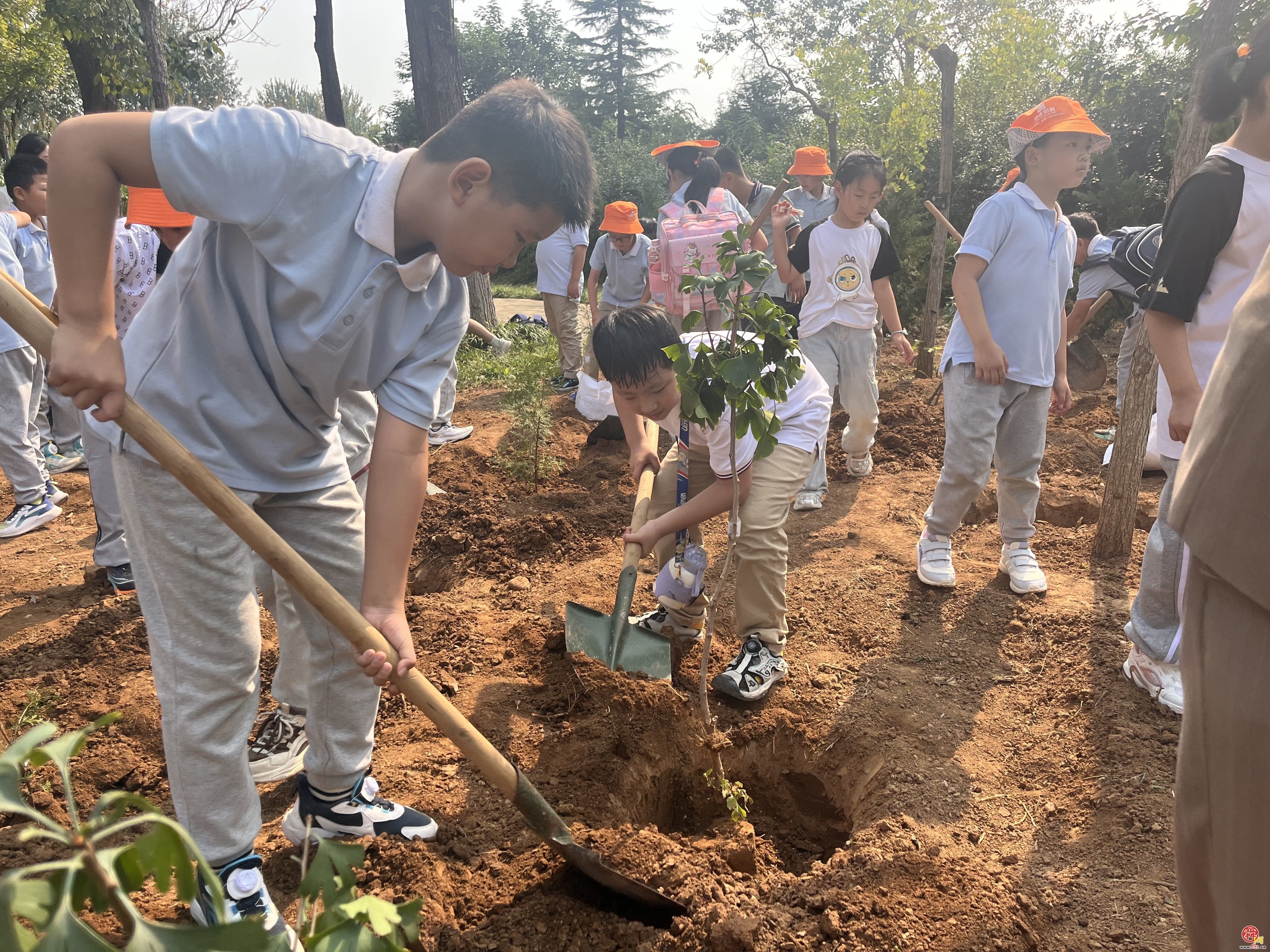 植绿护绿全民行｜“护”百年古树 “植”绿色未来济南市“全民义务植树+古树研学”活动走进济南植物园