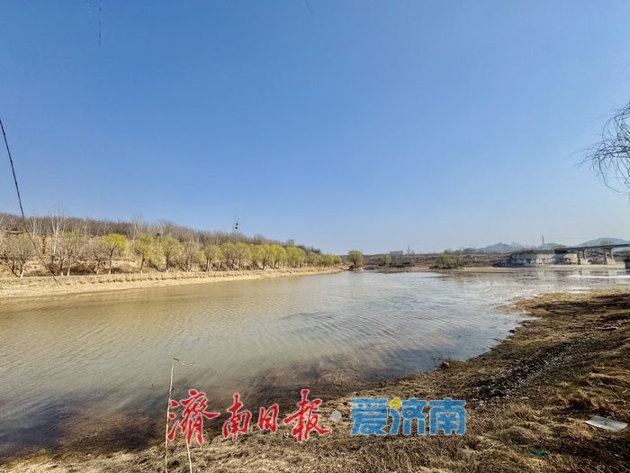 玉符河畔春意浓 杨柳依依醉游人