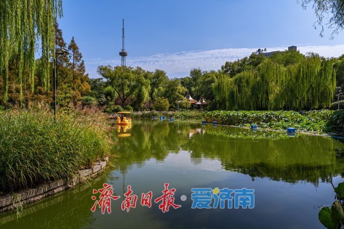 一年四季 泉在济南丨泉城公园：秋光正好，邂逅城市中的自然诗意