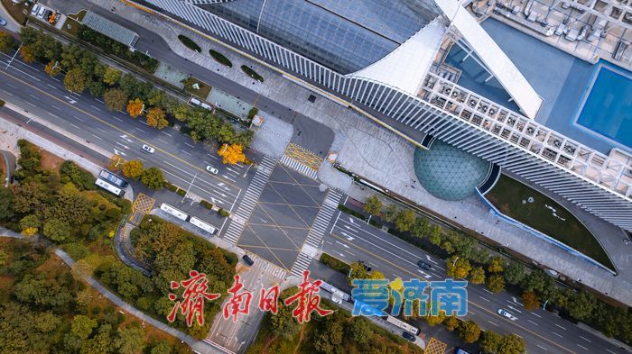 树染金黄，都市秋意正当时