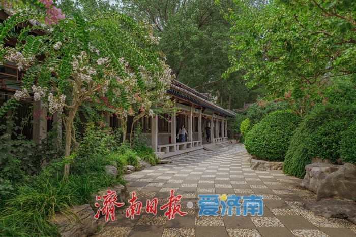 一年四季 泉在济南丨酷暑时节，来济南万竹园解锁夏日清凉